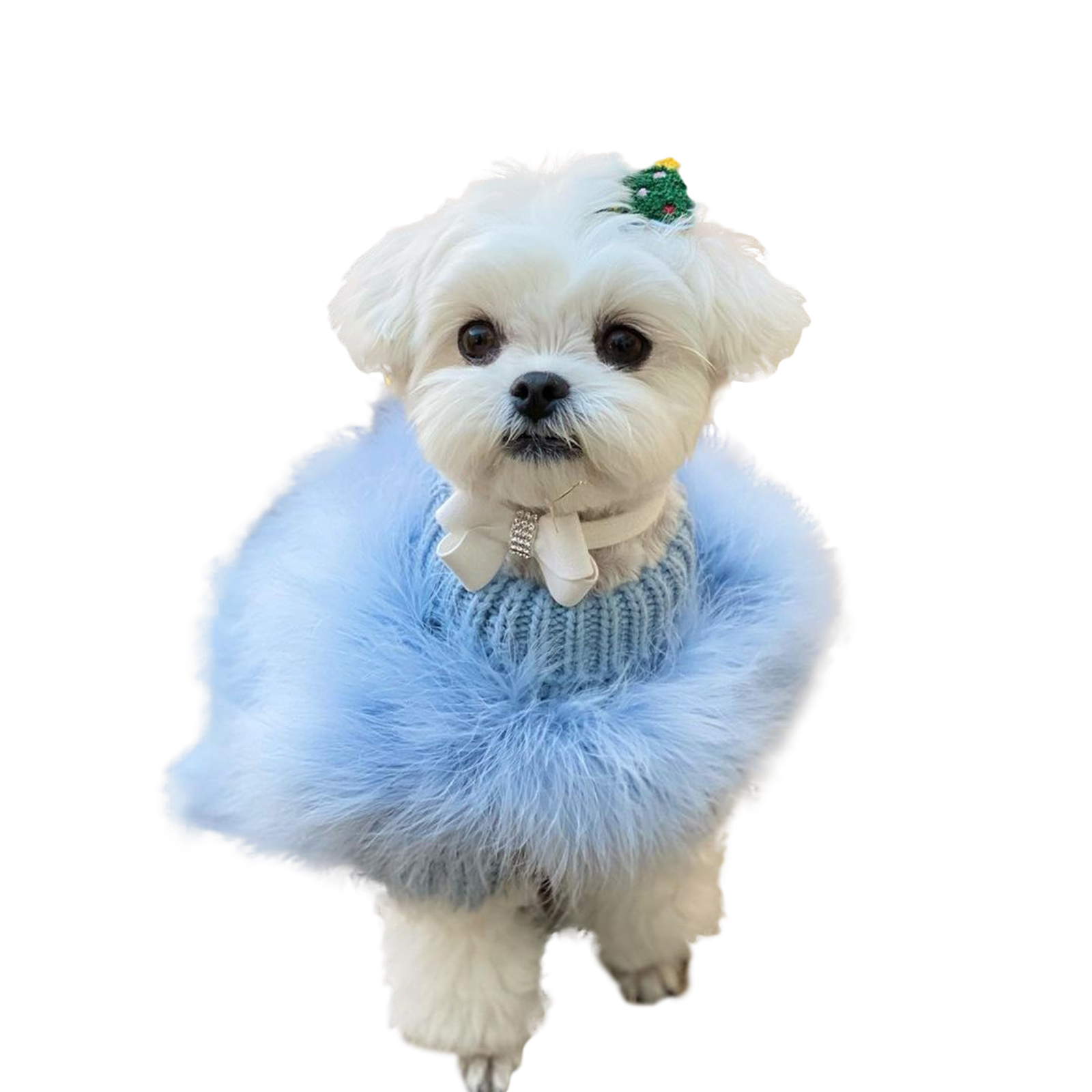 Ladies Turkey Winter Warm Sweater Soft Comfortable Pet Clothes Pets Cosplay Costume Light Blue Small