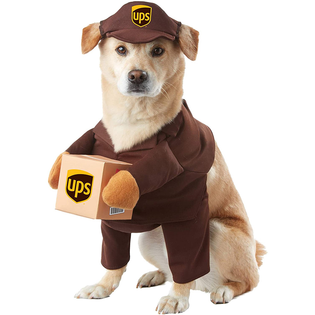 Pet Halloween Ups Costumes Funny Dress Up Outfits Set with Hat for Medium Large Dogs Brown S